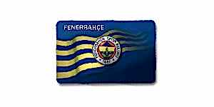 Ankara Fenerbahçe Spor Okullarının Resmen Tanındığı Kurumlar
